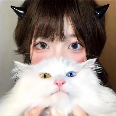 伴侣